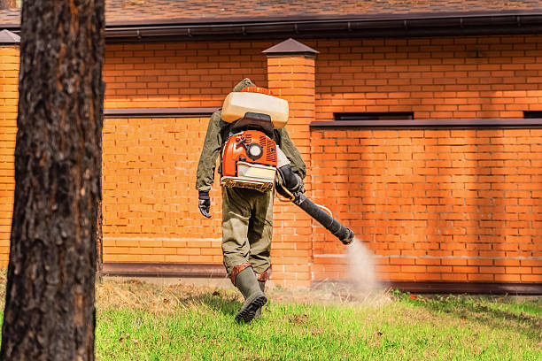 Trusted Fumigation Services service in Keokea, HI - Nex Pest Control